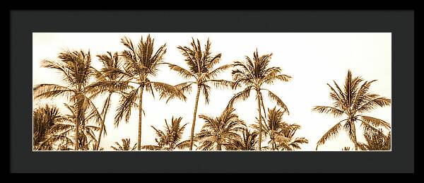 Sepia Palm Grove Panorama - Framed Print