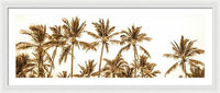 Sepia Palm Grove Panorama - Framed Print