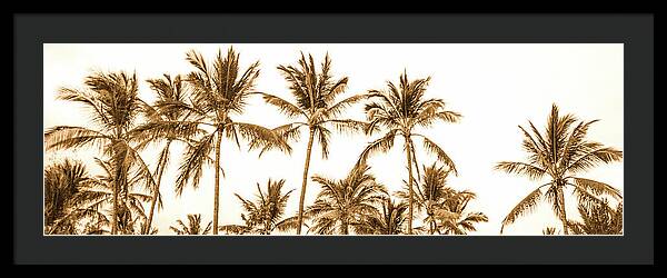 Sepia Palm Grove Panorama - Framed Print