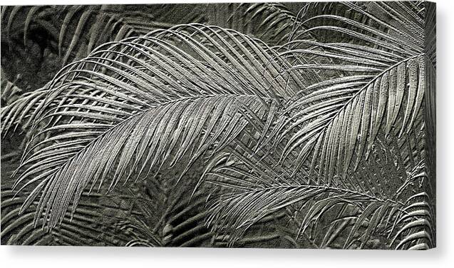 Silver Palm relief Metallic photo art - Canvas Print