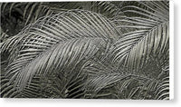 Silver Palm relief Metallic photo art - Canvas Print