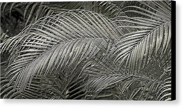 Silver Palm relief Metallic photo art - Canvas Print