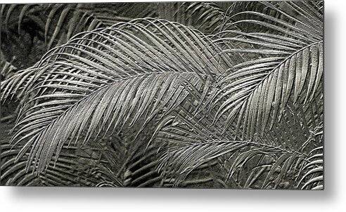 Silver Palm relief Metallic photo art - Metal Print