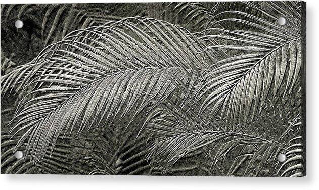 Silver Palm relief Metallic photo art - Acrylic Print