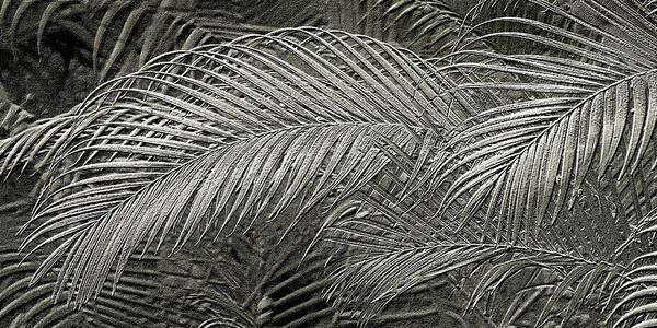 Silver Palm relief Metallic photo art - Art Print