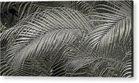 Silver Palm relief Metallic photo art - Acrylic Print