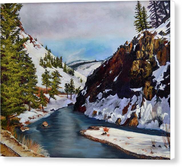 South Fork of the Boise River - Canvas Print