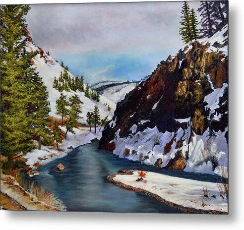 South Fork of the Boise River - Metal Print