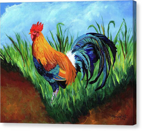 Sugarcane Rooster - Canvas Print Canvas Print 1ArtCollection