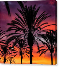 Sunset Palms - Canvas Print