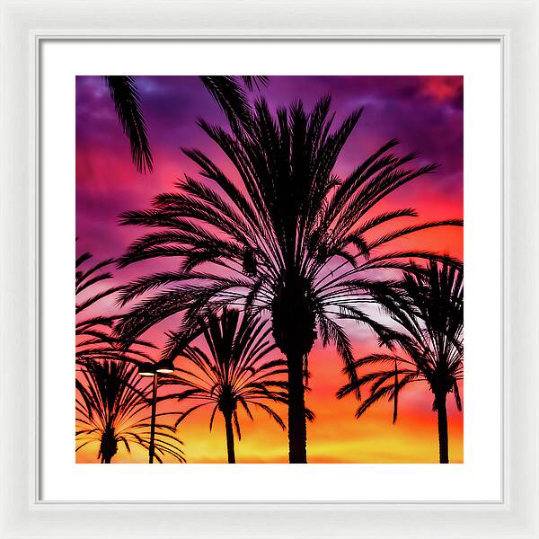 Sunset Palms - Framed Print