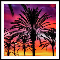 Sunset Palms - Framed Print