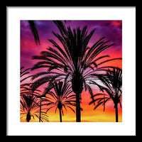 Sunset Palms - Framed Print