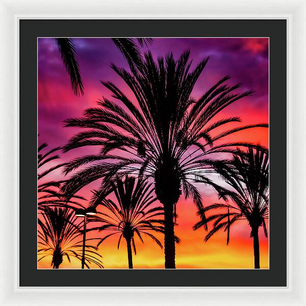 Sunset Palms - Framed Print