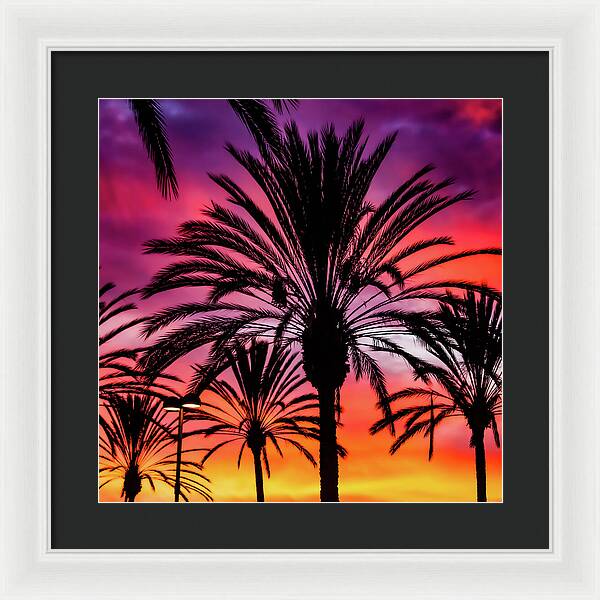 Sunset Palms - Framed Print