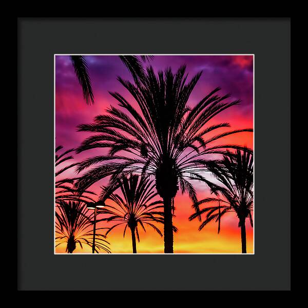 Sunset Palms - Framed Print