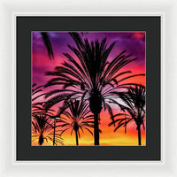 Sunset Palms - Framed Print