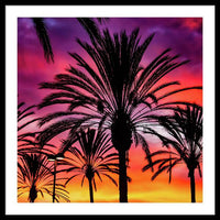 Sunset Palms - Framed Print