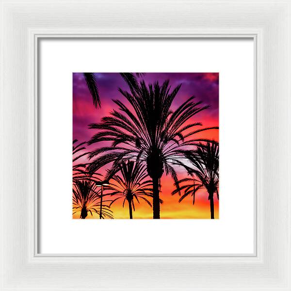 Sunset Palms - Framed Print