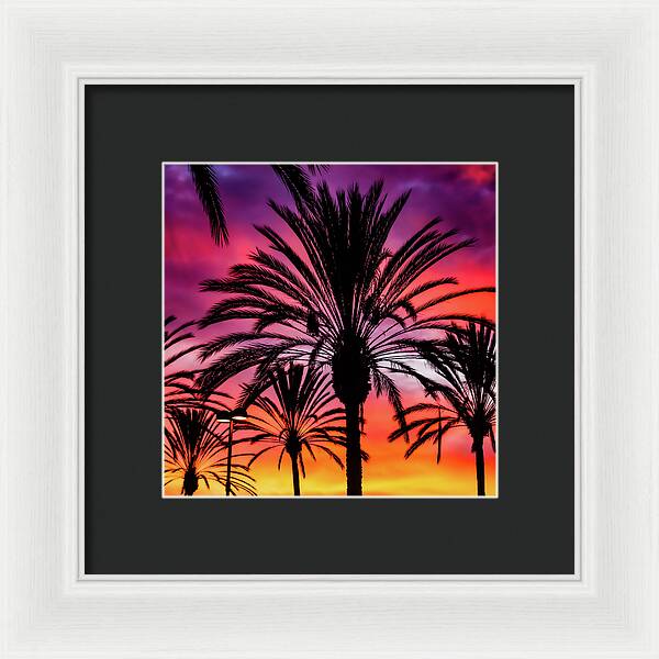 Sunset Palms - Framed Print