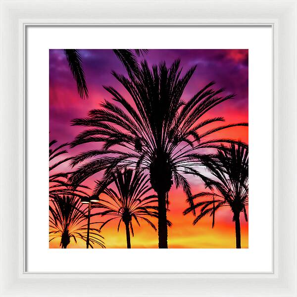 Sunset Palms - Framed Print