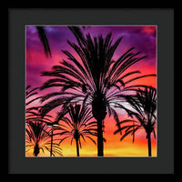 Sunset Palms - Framed Print