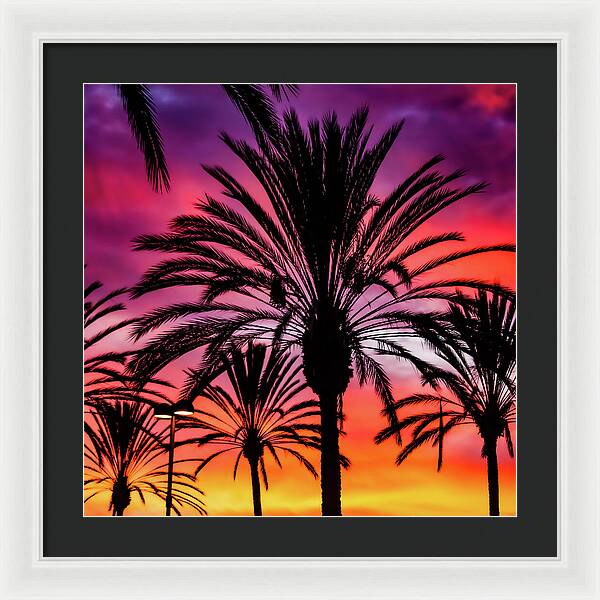 Sunset Palms - Framed Print