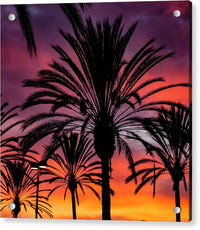 Sunset Palms - Acrylic Print