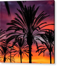 Sunset Palms - Acrylic Print