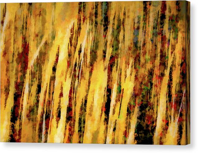 Sunset Thru Grass Asbstract - Canvas Print