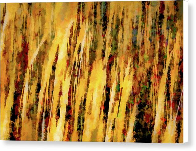 Sunset Thru Grass Asbstract - Canvas Print