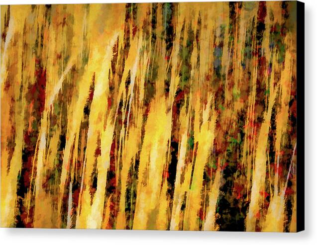 Sunset Thru Grass Asbstract - Canvas Print