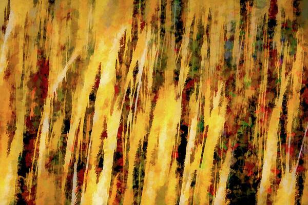 Sunset Thru Grass Asbstract - Art Print