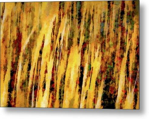 Sunset Thru Grass Asbstract - Metal Print