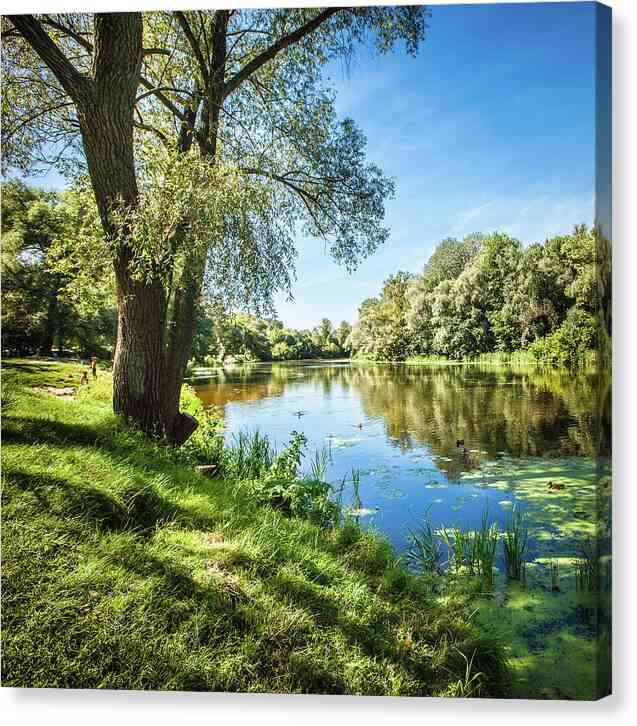 Tranquil Riverside 12 - Canvas Print Canvas Print 1ArtCollection