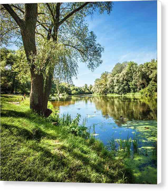 Tranquil Riverside 12 - Canvas Print Canvas Print 1ArtCollection