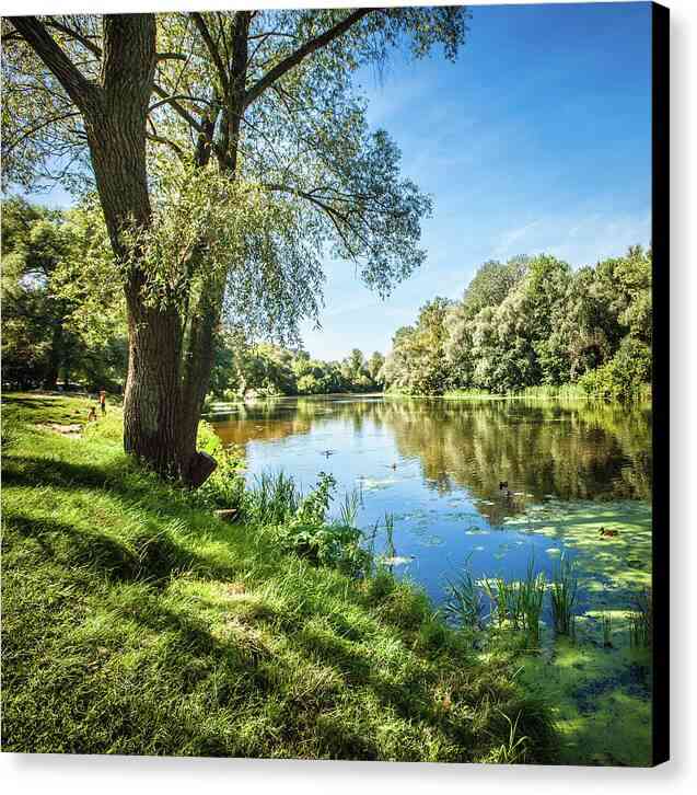 Tranquil Riverside 12 - Canvas Print Canvas Print 1ArtCollection