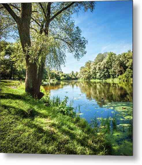 Tranquil Riverside 12 - Metal Print Metal Print 1ArtCollection