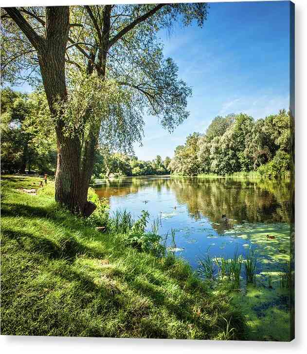 Tranquil Riverside 12 - Acrylic Print Acrylic Print 1ArtCollection