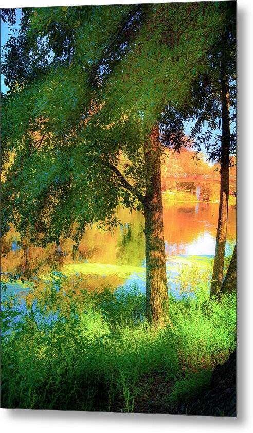 Tranquil Riverside - art - Metal Print