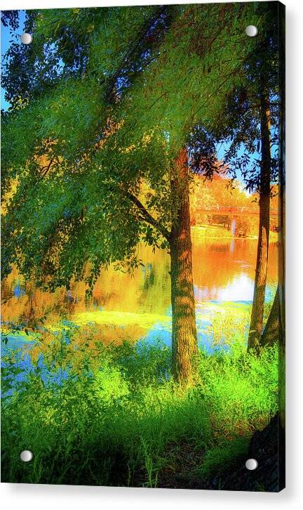 Tranquil Riverside - art - Acrylic Print Acrylic Print 1ArtCollection