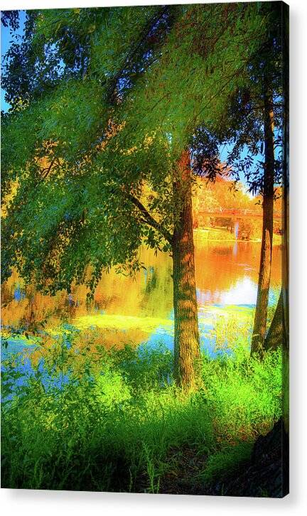 Tranquil Riverside - art - Acrylic Print Acrylic Print 1ArtCollection