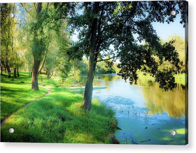 a river running through a lush green park