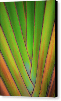 Traveller's Palm design 5 - Canvas Print