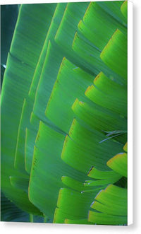 Traveller's Palm Leaves Design - Canvas Print