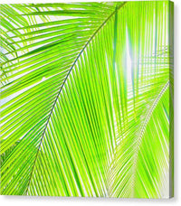 Tropical Breeze - Canvas Print