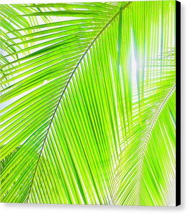 Tropical Breeze - Canvas Print