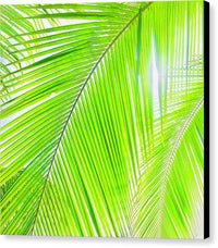 Tropical Breeze - Canvas Print