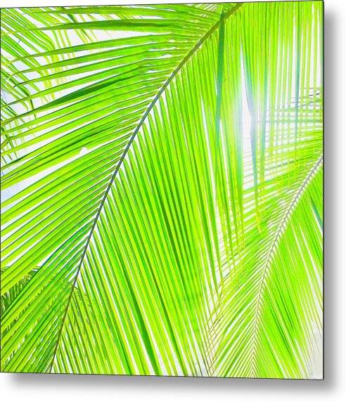 Tropical Breeze - Metal Print