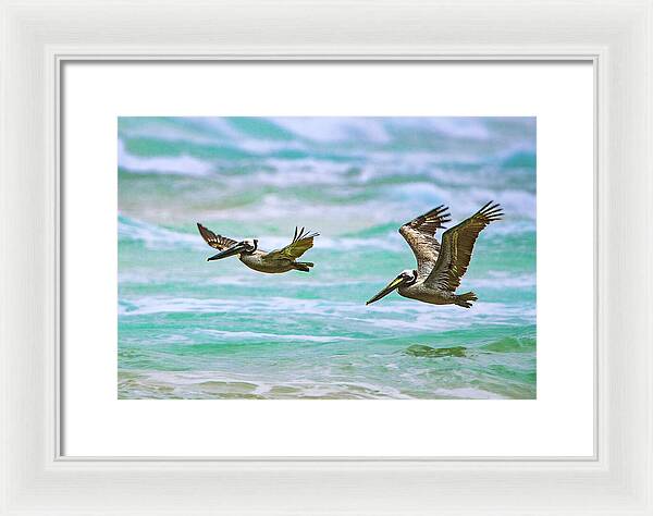 Turquoise Twins - Framed Print